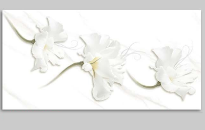 Gạch ốp tường NICE 30x60cm-635