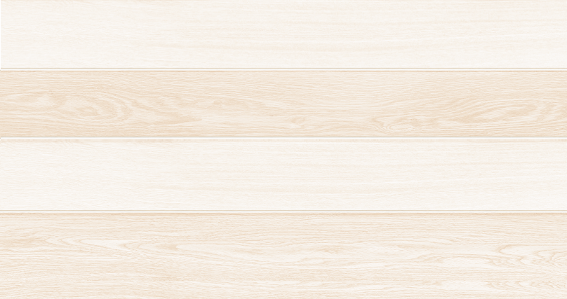 Gạch ốp tường Vicera 30x60cm-2746