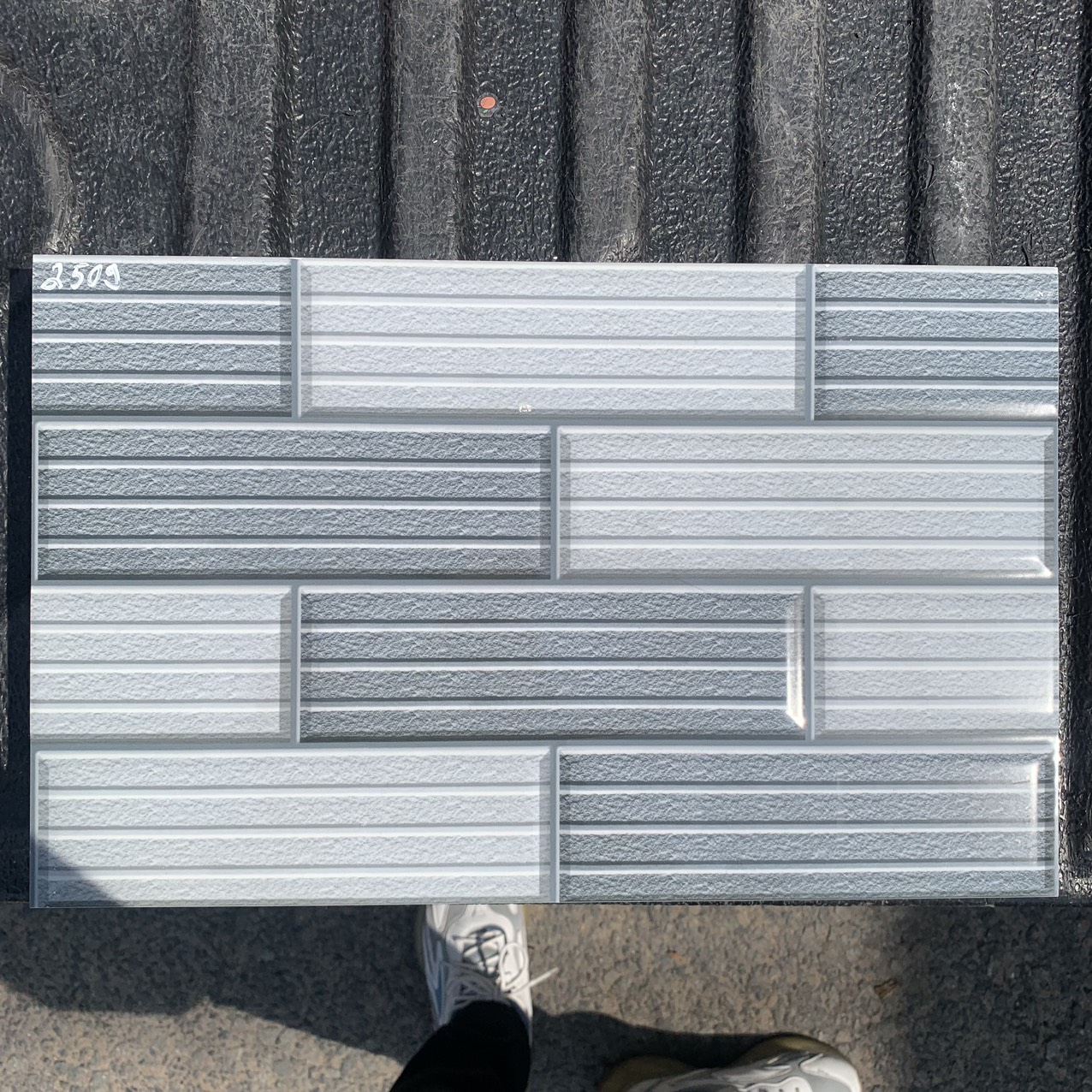 Gạch trang trí 25x50 -1353