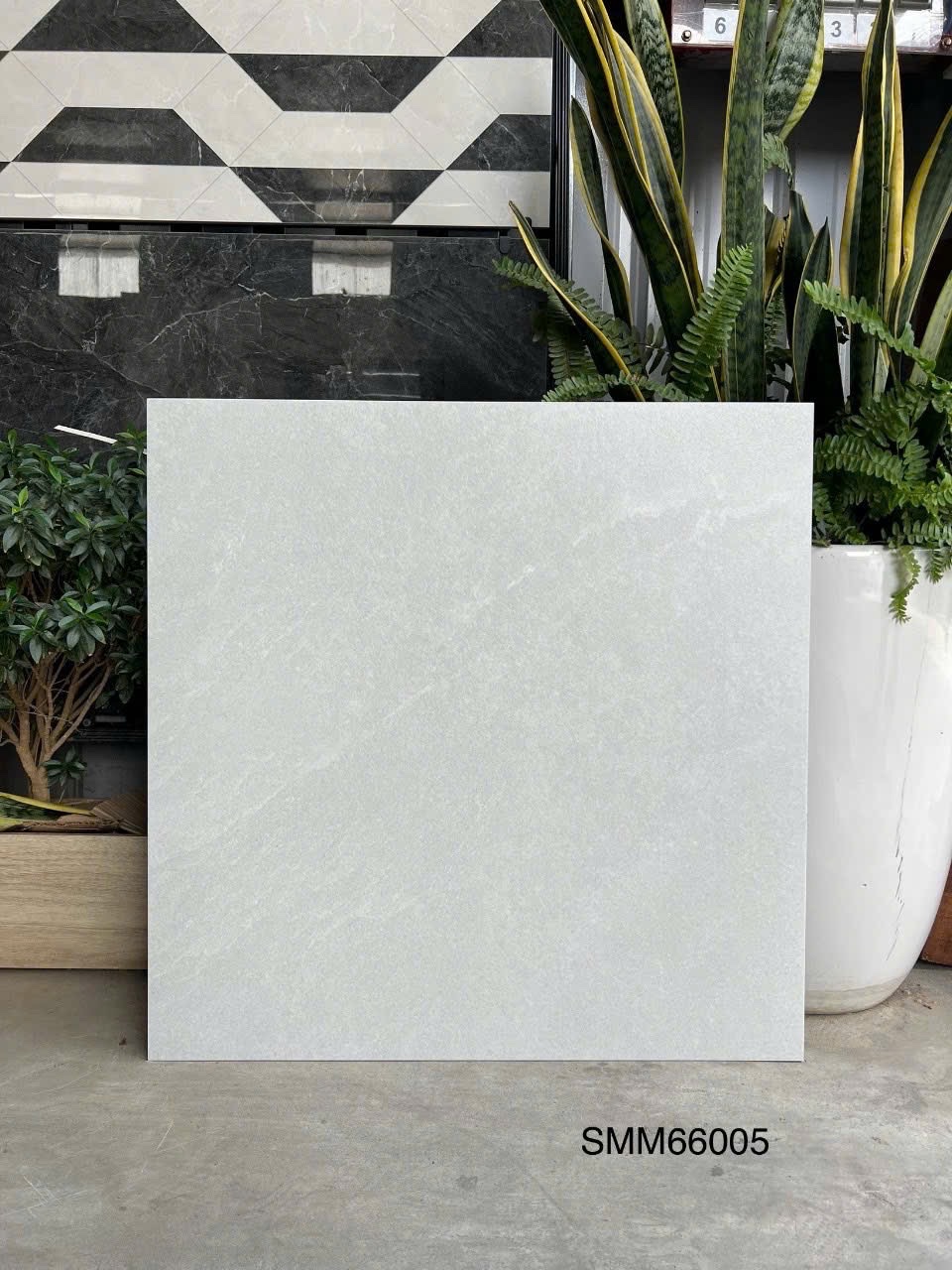 Gạch Lát Nền 60x60cm SMM66005-4741