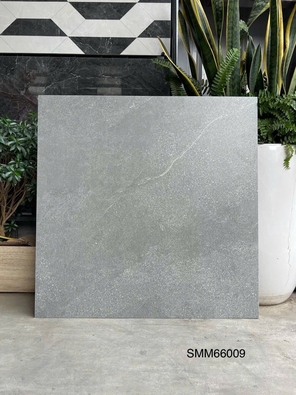 Gạch Lát Nền 60x60cm SMM66009-4747