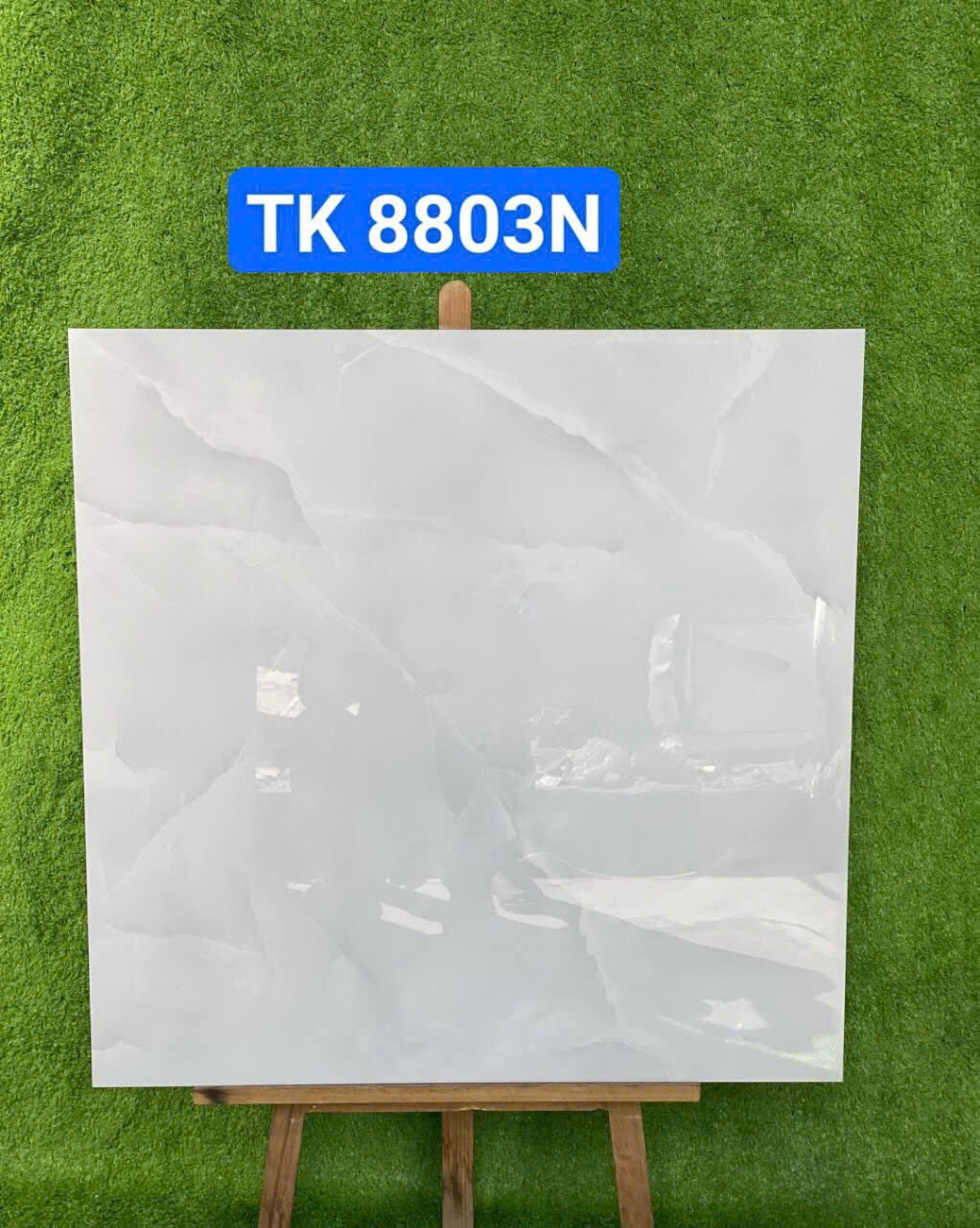 Gạch ốp lát 80x80cm -4685