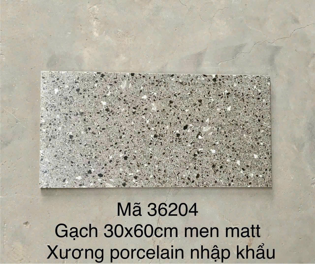 Gạch ốp lát 30x60cm terrazzo-5603